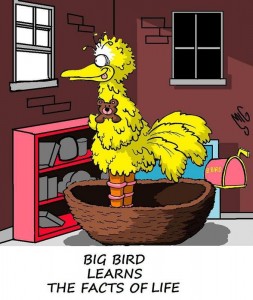 Big Bird