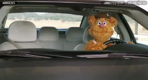 Where Did Fozzie Learn to Drive?*