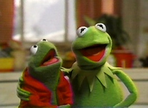 Kermit & Robin on Jimmy Fallon Next Month