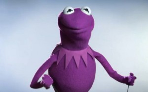 Kermit Goes Purple for Ken Wilber