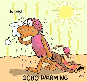 gobo warming