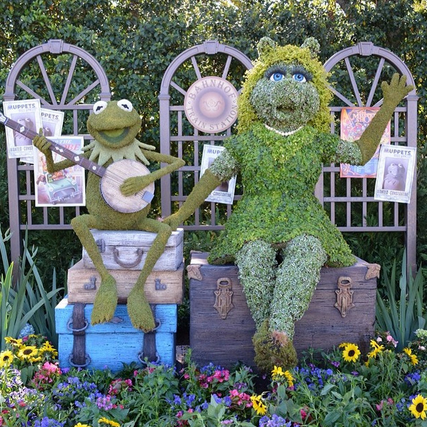 Kermit and Piggy Topiaries Bloom in Epcot