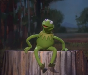 Watch Kermit on The Tonight Show