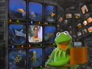 JHH Oceans Kermit monitors