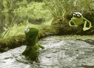 Kermit_spit_water_swamp