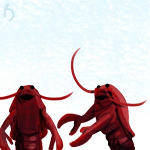 243-lobsters
