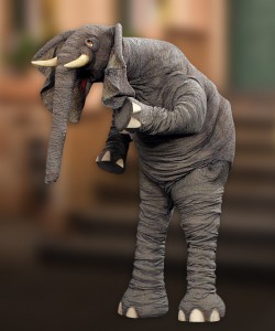 Horatio elephant