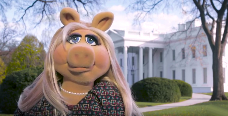 Miss Piggy Goes to Washington