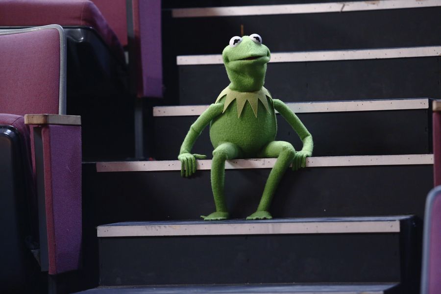Take a Deep Breath: The Aftermath of the Kermit News
