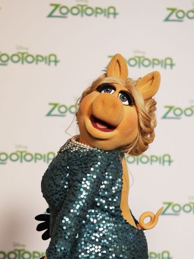 Photos and Promos for The Muppets Episode 12 – “A Tail of Two Piggies”