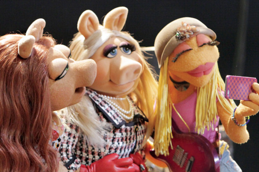 The Muppets Wins Kids’ Choice Award