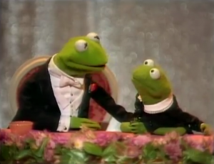30-kermit and robin