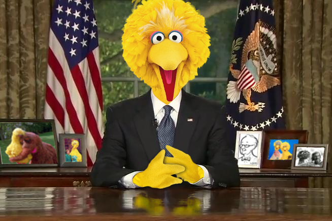 ToughPigs Election: President Big Bird