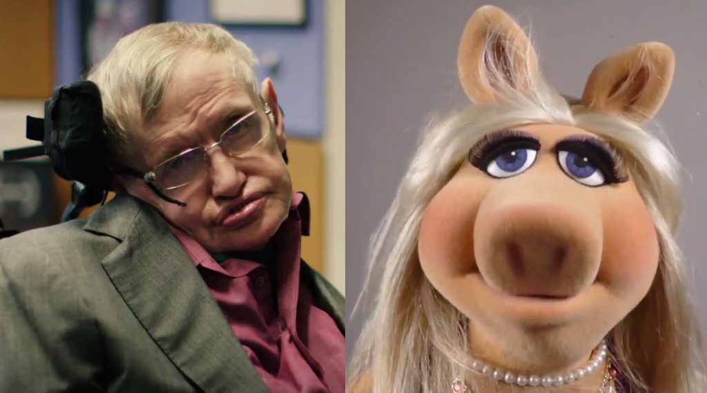 Miss Piggy: The New Stephen Hawking??