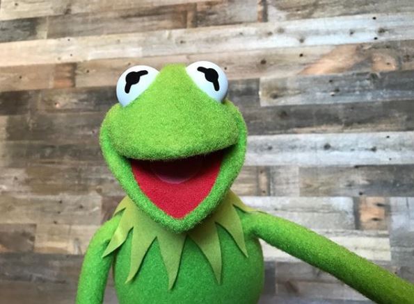 Kermit the Frog Is on Instagram