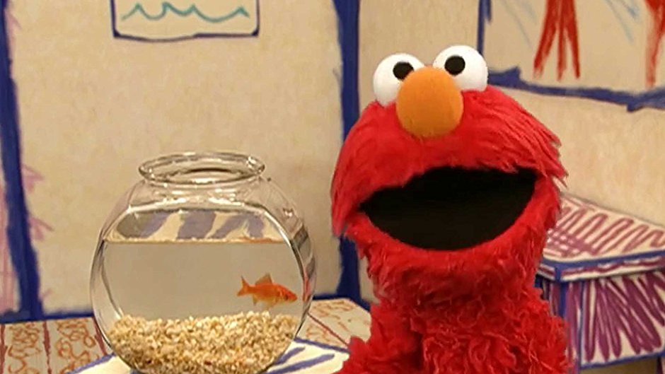 Watch This Video We Made: Elmo Has a Question For YOU!