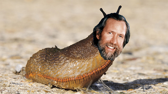 Sea Slug Named After Jim Henson