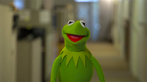 Kermit is the Amphibian Consultant for “Amphibia”