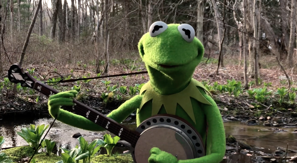 A Special Song from Kermit the Frog