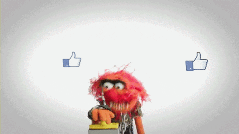 The Origins of Your Favorite Muppet GIFs - ToughPigs