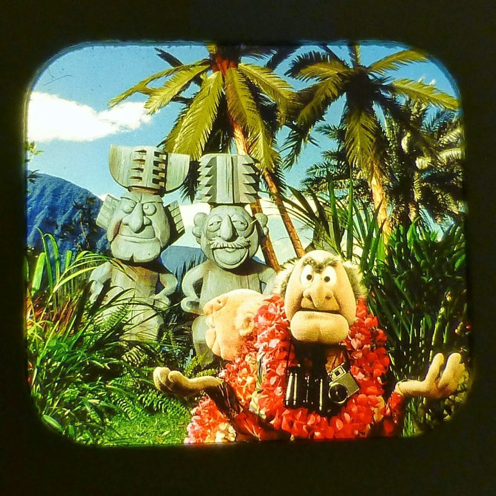 The Original Muppet*Vision 3D: The Muppet View-Master - ToughPigs