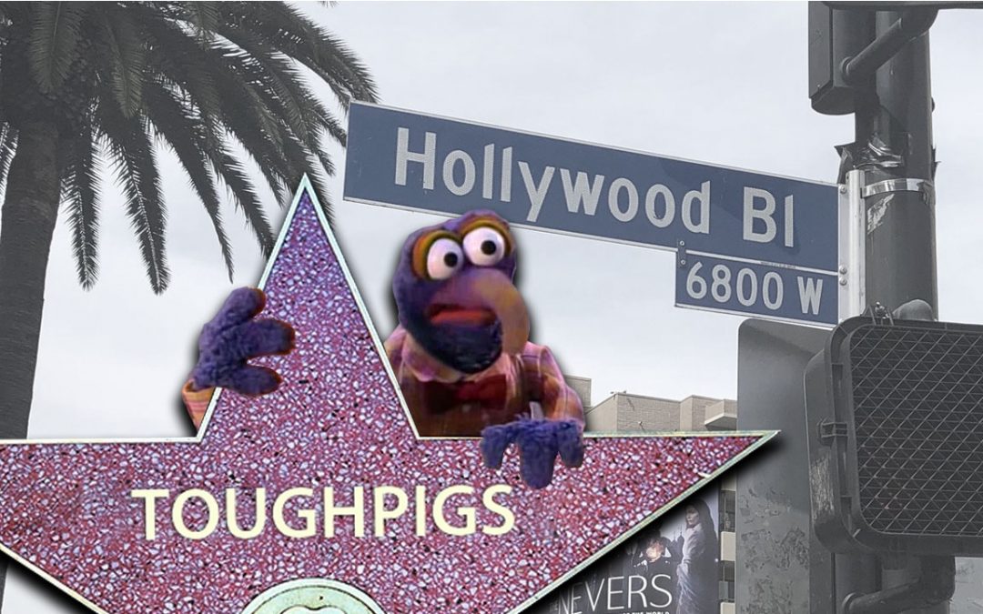 VIDEO: Muppet Connections on the Hollywood Walk of Fame